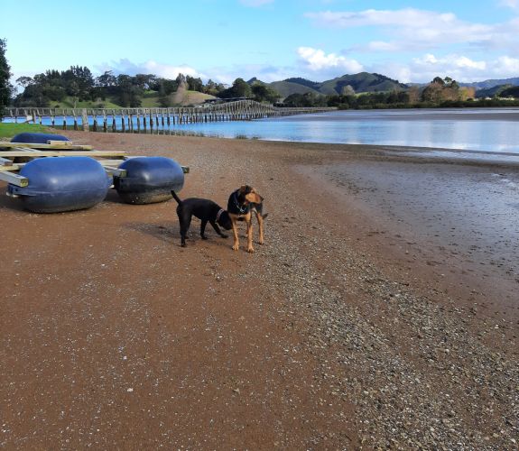 Holiday park in Whananaki